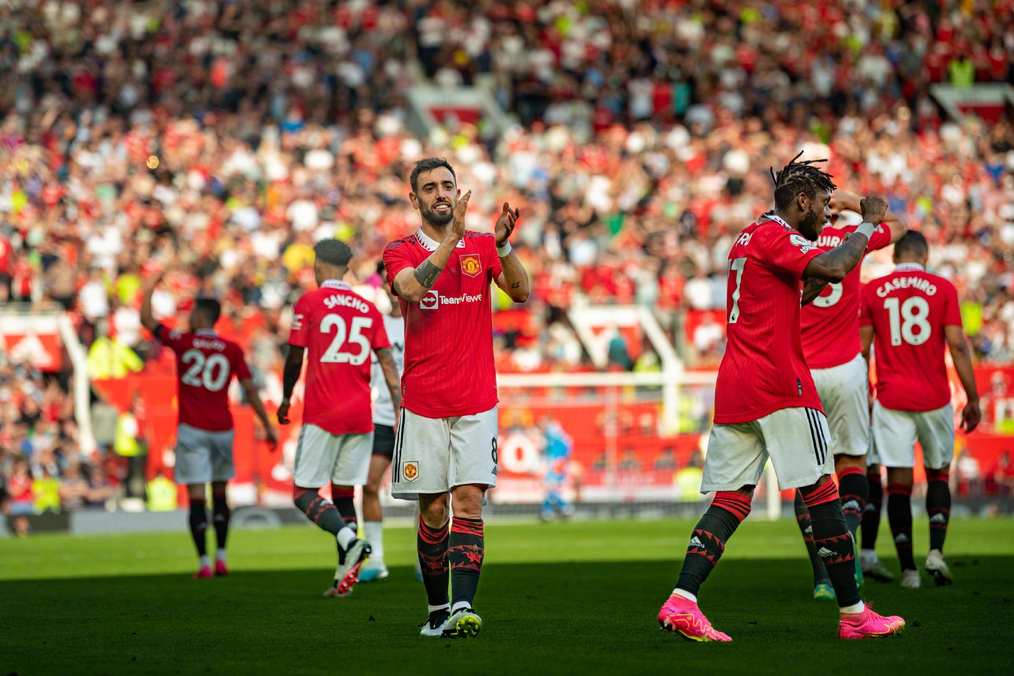 还涉及营养 还涉及营养